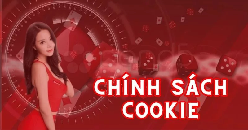Chính sách cookie 123b