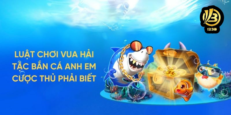 Luật chơi game Vua Hải Tặc mới nhất cho bạn